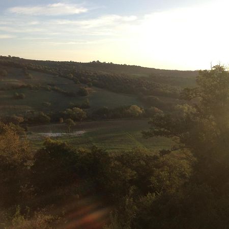 Le Tartarughe Rooms Magliano in Toscana Exteriér fotografie