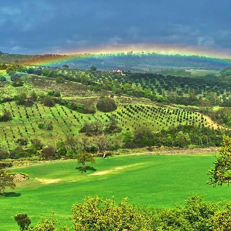 Le Tartarughe Rooms Magliano in Toscana Exteriér fotografie