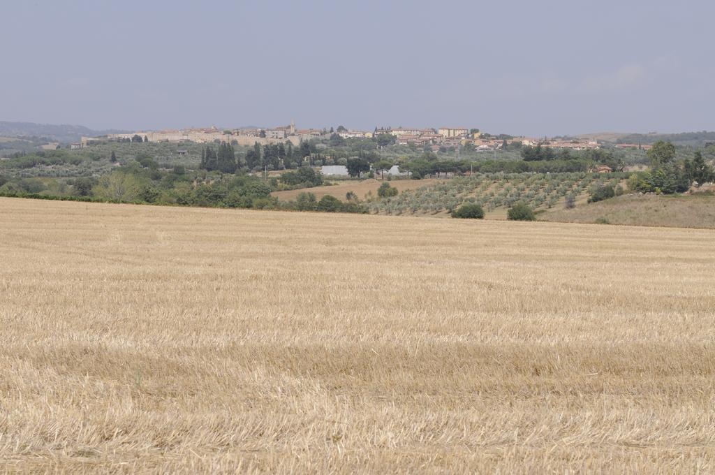Le Tartarughe Rooms Magliano in Toscana Exteriér fotografie
