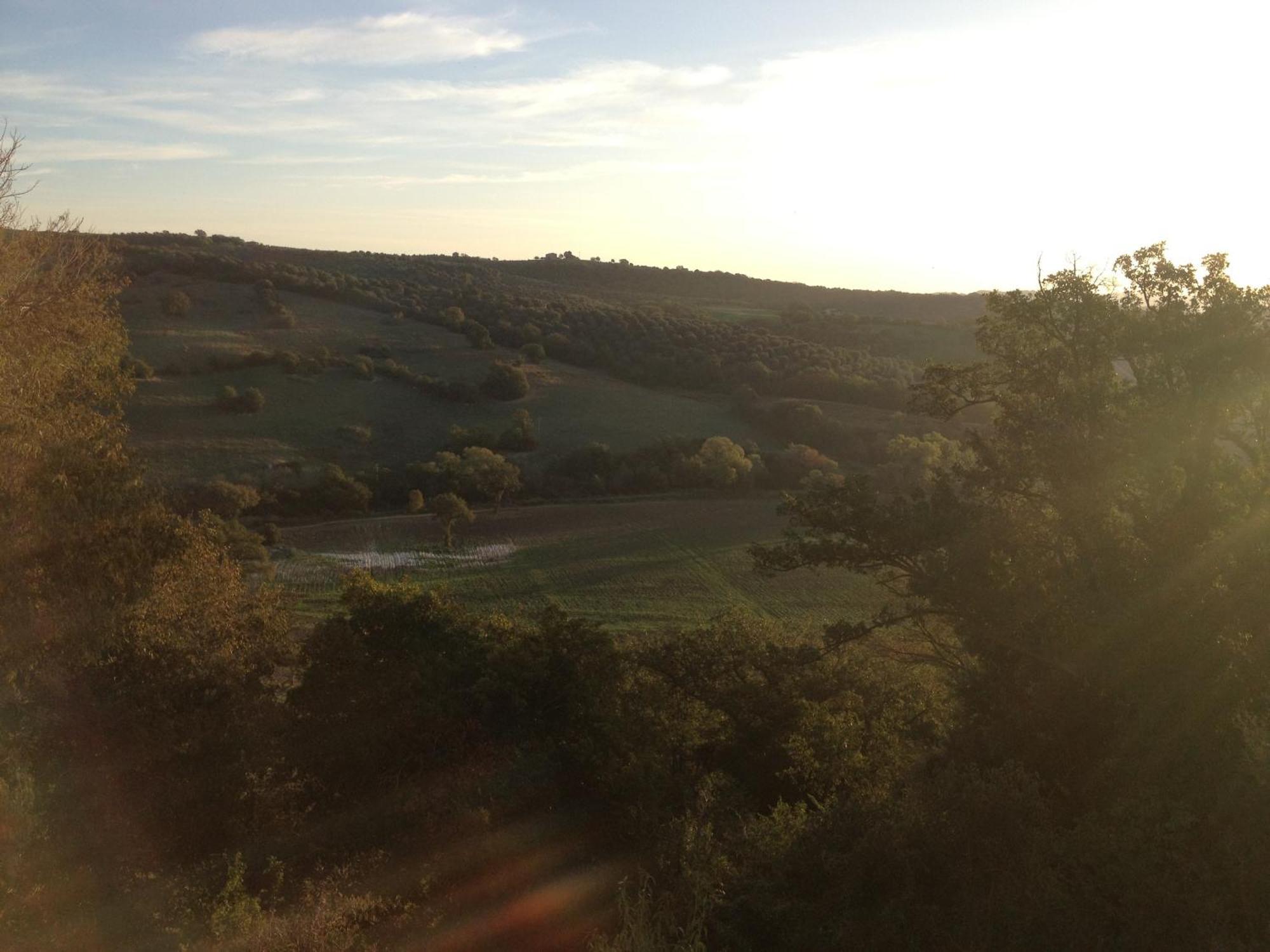 Le Tartarughe Rooms Magliano in Toscana Exteriér fotografie