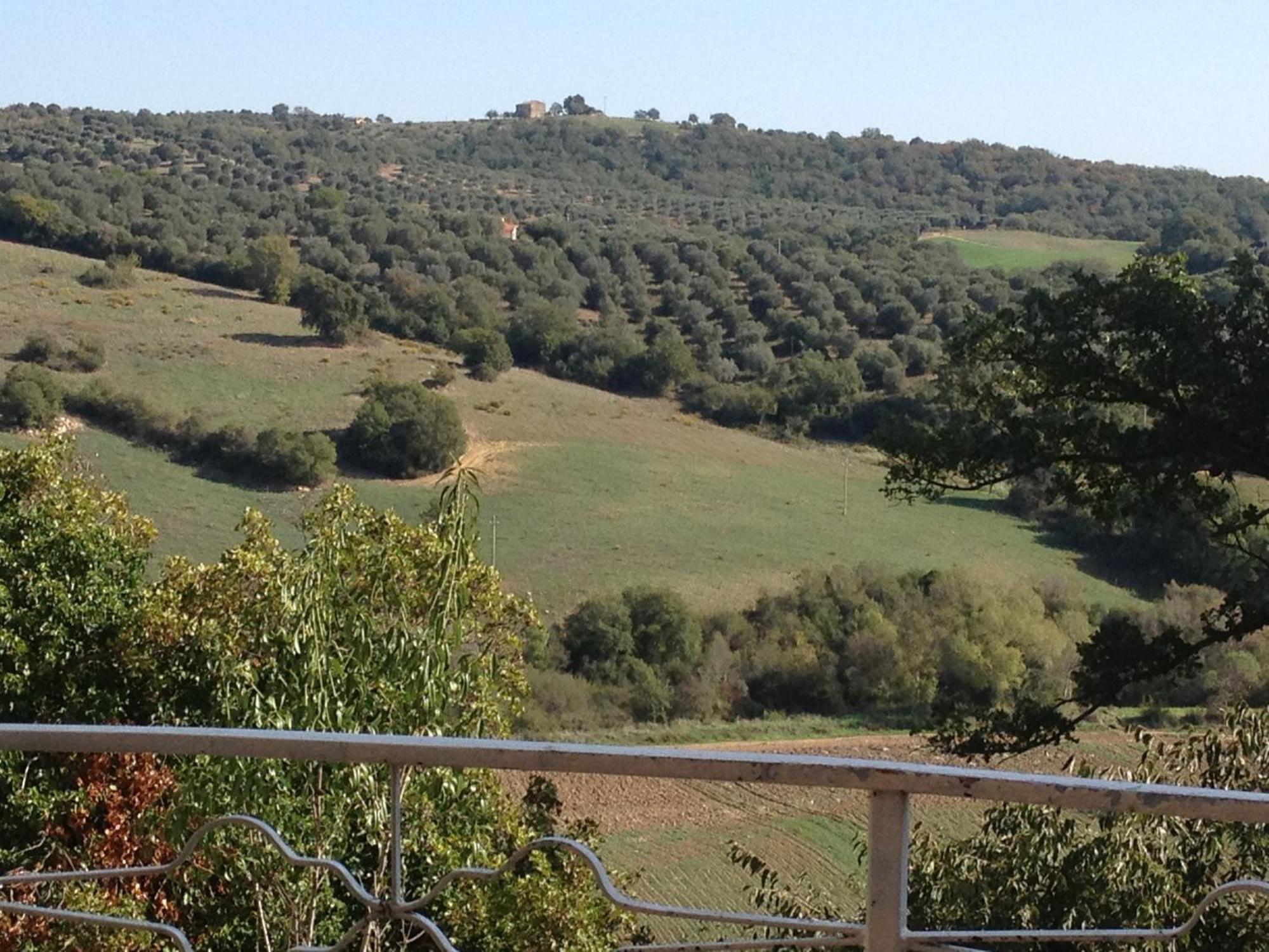 Le Tartarughe Rooms Magliano in Toscana Exteriér fotografie