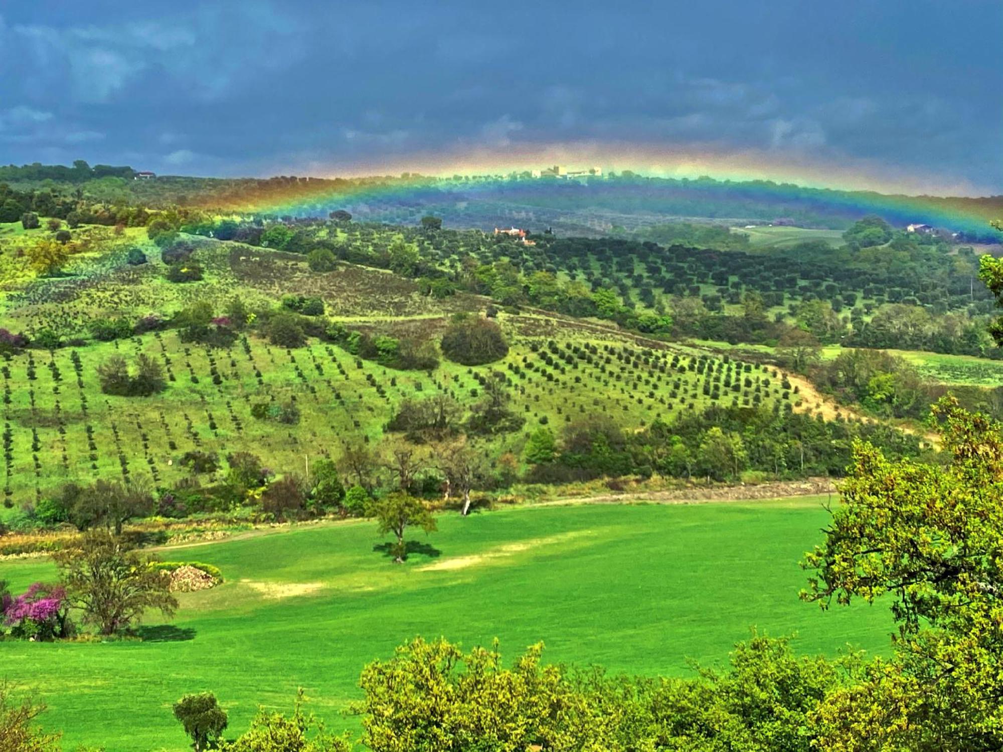 Le Tartarughe Rooms Magliano in Toscana Exteriér fotografie