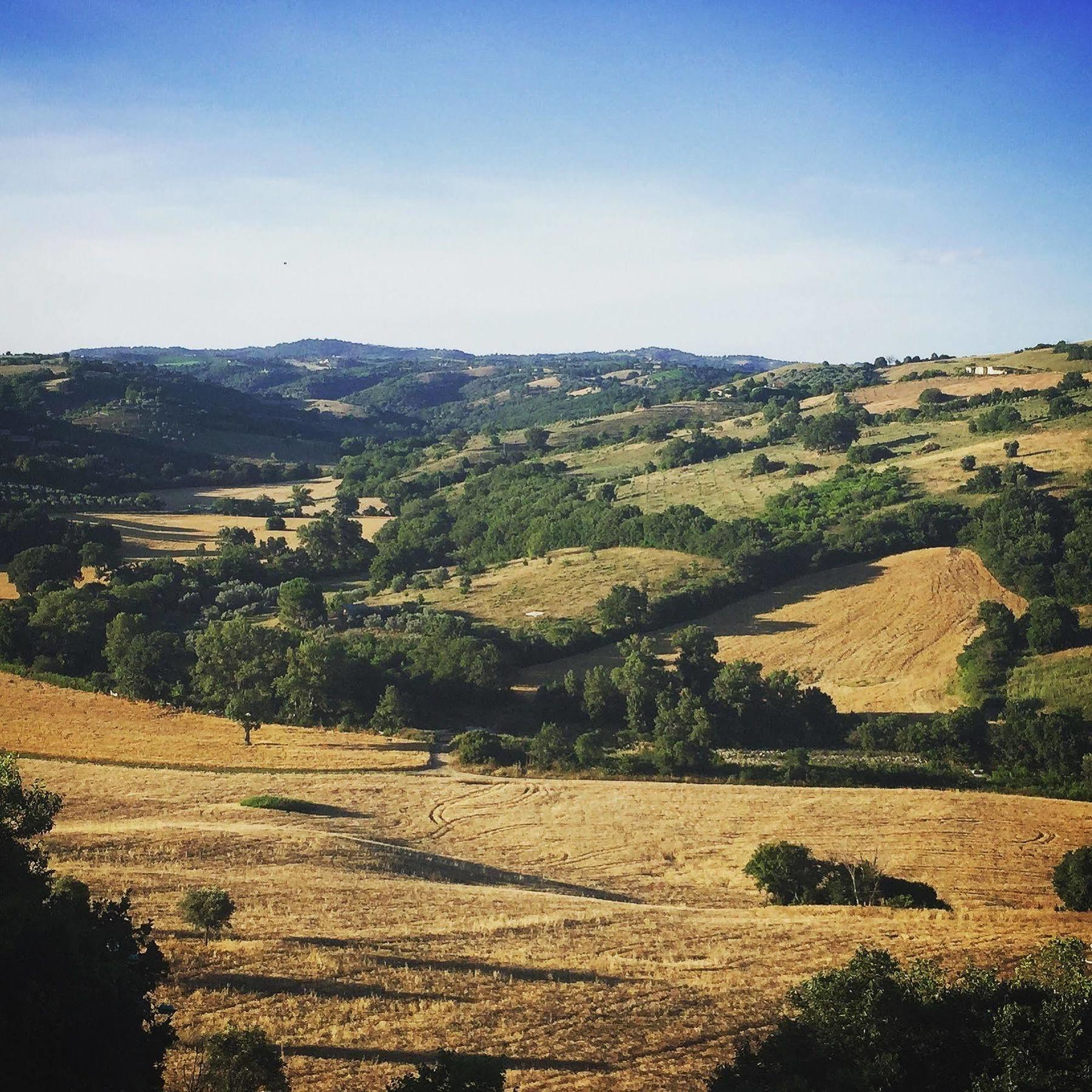 Le Tartarughe Rooms Magliano in Toscana Exteriér fotografie
