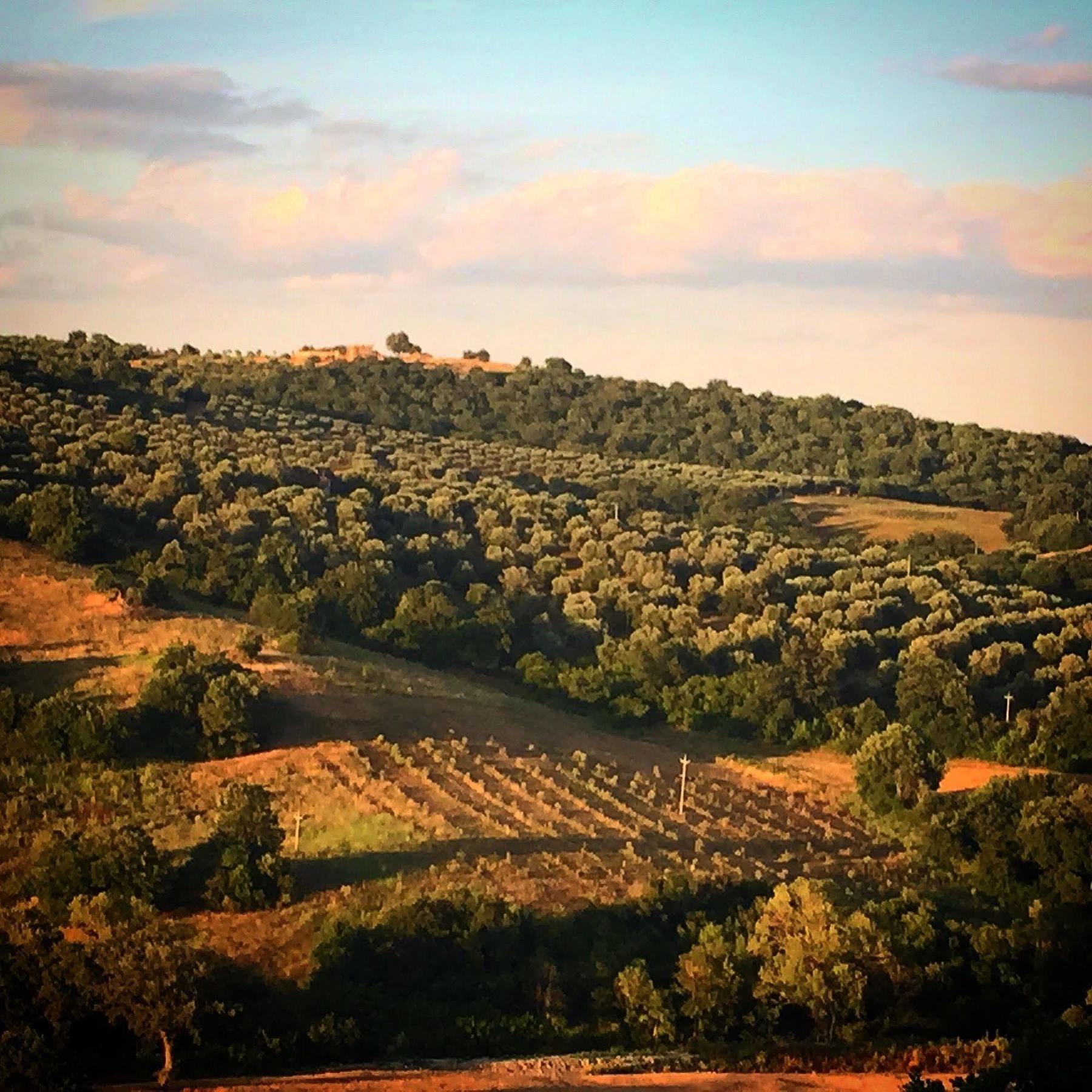 Le Tartarughe Rooms Magliano in Toscana Exteriér fotografie