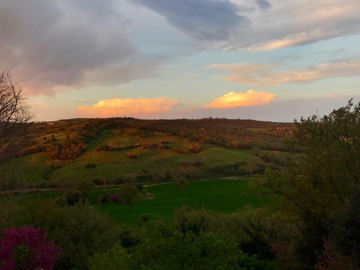 Le Tartarughe Rooms Magliano in Toscana Exteriér fotografie